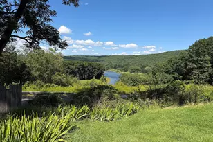 201 Co Rd 114, Cochecton Center, NY 12726 - Photo 32