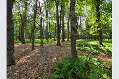 74 Oxford Drive, White Lake, NY 12786 - Photo 28
