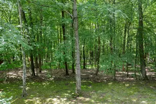 137 Old Camby Rd, Verbank, NY 12585 - Photo 36