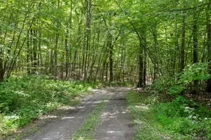 137 Old Camby Rd, Verbank, NY 12585 - Photo 38
