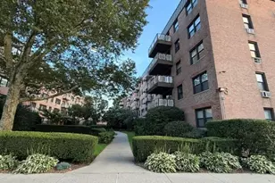 3 Birchwood Ct, Mineola, NY 11501 - Photo 18