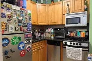 3 Birchwood Ct, Mineola, NY 11501 - Photo 8