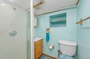 1549 E 96th St, Brooklyn, NY 11236 - Photo 22