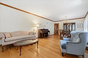 73 Chestnut Ave, Floral Park, NY 11001 - Photo 8