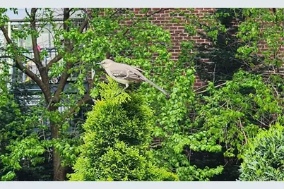 61-15 98th Street #5E, Rego Park, NY 11374 - Photo 4