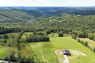 199 Henderson Rd, Hankins, NY 12736 - Photo 4