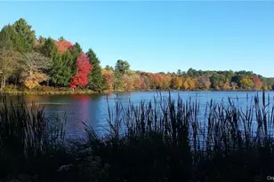 240 Sgt Andrew Brucher Rd, Smallwood, NY 12778 - Photo 26