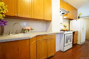 43-58 163rd St, Flushing, NY 11358 - Photo 10
