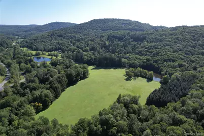 600 Jeffersonville North Branch Road, North Branch, NY 12766 - Photo 42