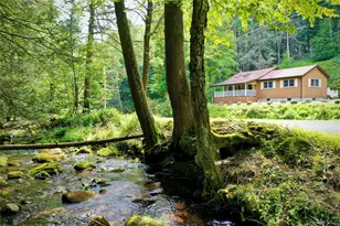 283 Pepacton Hollow Rd, Grahamsville, NY 12740 - Photo 1