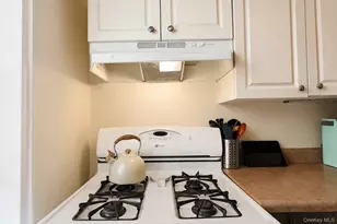 99-15 66th Ave, Rego Park, NY 11374 - Photo 14