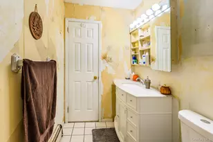 191 N Virginia Ave, Massapequa, NY 11758 - Photo 20