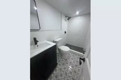 214 E 38th Street, Brooklyn, NY 11203 - Photo 24