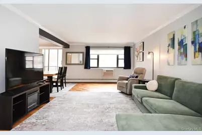 100 Clinton Avenue #1F, Mineola, NY 11501 - Photo 6
