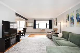 100 Clinton Ave, Mineola, NY 11501 - Photo 6
