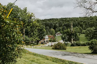 783 Skipperene Road, Cochecton Center, NY 12726 - Photo 44