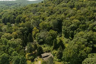 16 Carlson Rd, Wingdale, NY 12594 - Photo 50