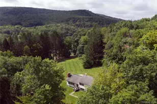 39 Denman Mountain Rd, Grahamsville, NY 12740 - Photo 2