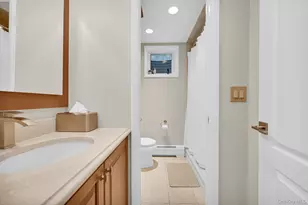 15 Ramapo Ln, Chestnut Ridge, NY 10952 - Photo 32