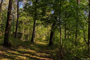 81-85 Fraleigh Hill Rd, Millbrook, NY 12545 - Photo 32