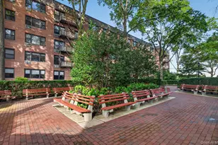 4 Birchwood Ct, Mineola, NY 11501 - Photo 4