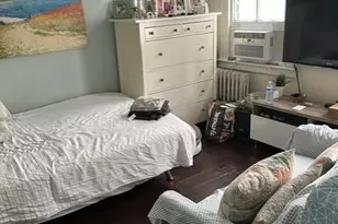 53-16 Haspel St, Elmhurst, NY 11373 - Photo 8