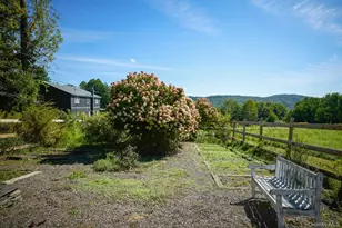 197 Weiss Rd, Roscoe, NY 12776 - Photo 42