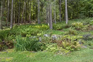 81 Tinker Hill Rd, Pine Plains, NY 12567 - Photo 20