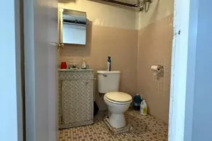 49 Buffalo Ave, Brooklyn, NY 11233 - Photo 16