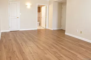 242 Maple Ave, Westbury, NY 11590 - Photo 16