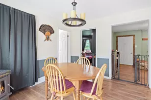 175 Nevis Rd, Clermont, NY 12583 - Photo 10