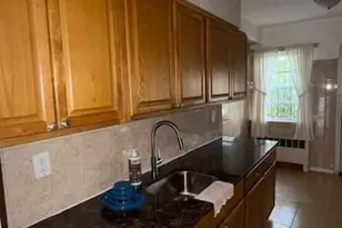 1007 E 223rd St, Bronx, NY 10466 - Photo 16