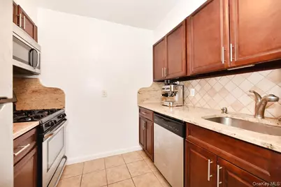 1 Birchwood Court #2O, Mineola, NY 11501 - Photo 8