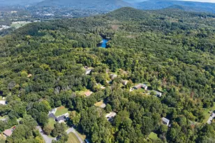 218 Johnson Rd, Wingdale, NY 12594 - Photo 46