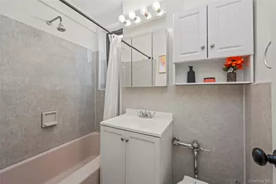 61 Oliver Street #2V, Brooklyn, NY 11209 - Photo 16