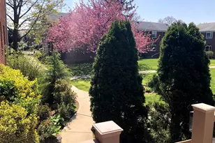 255-21 74th Ave, Glen Oaks, NY 11004 - Photo 22