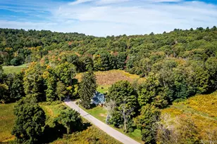 672 Tower Hill Rd, Millbrook, NY 12545 - Photo 30