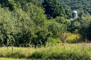 11 Buttonwood Rd, Dover Plains, NY 12522 - Photo 6