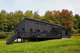 65 Parks Rd, Livingston Manor, NY 12758 - Photo 2