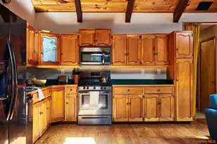 53 Devlin Rd, Highland Lake, NY 12743 - Photo 10