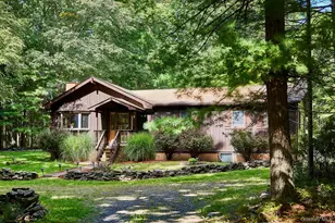 53 Devlin Rd, Highland Lake, NY 12743 - Photo 6