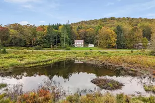 187 Gulf Rd, Roscoe, NY 12776 - Photo 44
