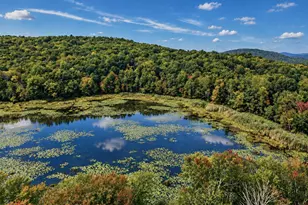 41 Richardsville Rd, Carmel, NY 10512 - Photo 44