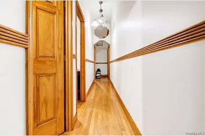 458 Halsey Street, Brooklyn, NY 11233 - Photo 14