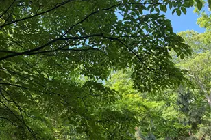 301 Roaring Brook Rd, Chappaqua, NY 10514 - Photo 4
