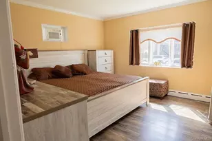 169 Doris Ave, Franklin Square, NY 11010 - Photo 12