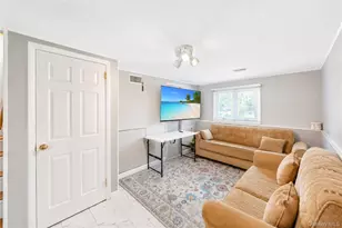 7 Primrose Ave, Hicksville, NY 11801 - Photo 28