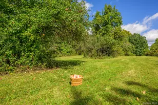 915 Palmer Rd Ext, Claverack, NY 12521 - Photo 34