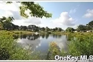 124 Village Cir W, Manorville, NY 11949 - Photo 28