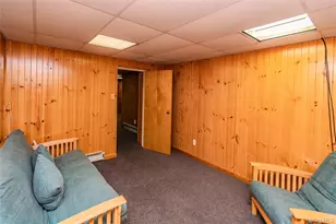 471 County Route 164, Callicoon, NY 12723 - Photo 46